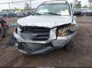 Hyundai SANTA FE Gls Image 6