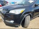 Ford Escape Titanium Image 6