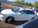 Honda Accord Ex-l Image 16