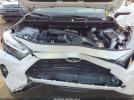 Toyota RAV4 Xle Premium Image 16