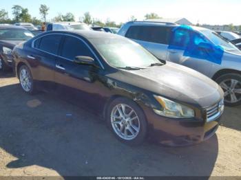  Salvage Nissan Maxima