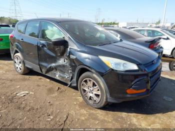  Salvage Ford Escape