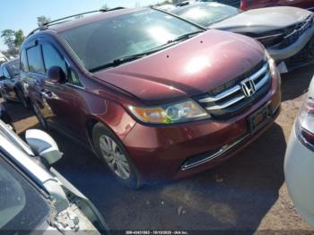  Salvage Honda Odyssey