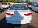 Hyundai SONATA Limited Image 13