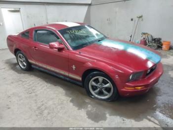  Salvage Ford Mustang