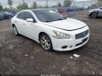  Salvage Nissan Maxima