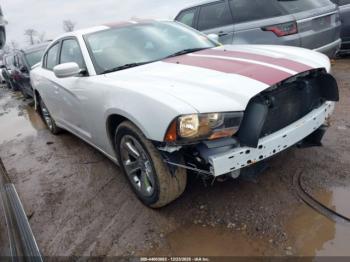  Salvage Dodge Charger