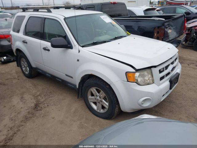Ford Escape Image 1