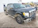 Ford F-150 Xlt Image 1