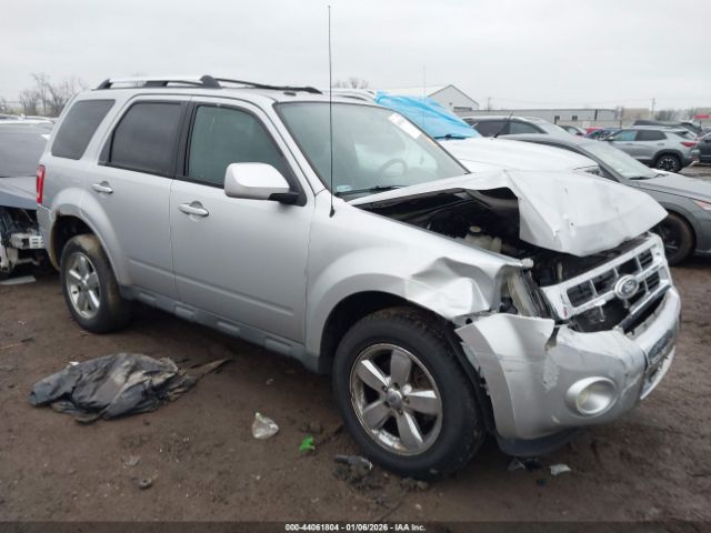 Ford Escape Limited Image 1