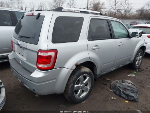 Ford Escape Limited Image 8