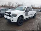 Ford F-150 Fx4 Image 2