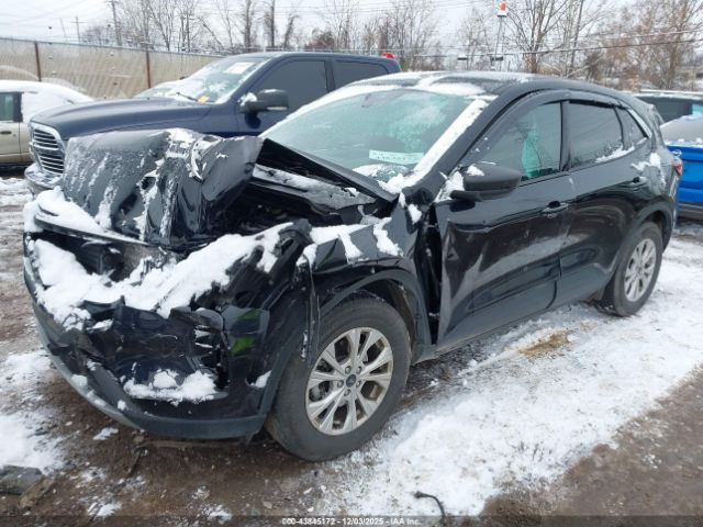 Ford Escape Active Image 6