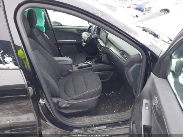 Ford Escape Active Image 14