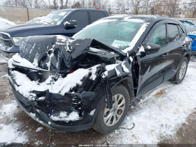 Ford Escape Active Image 8