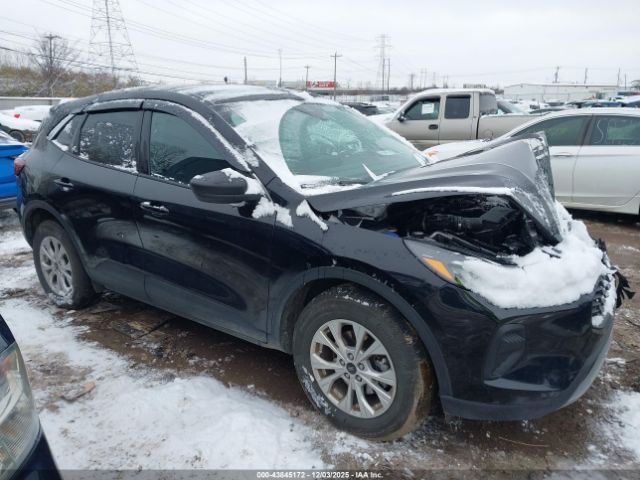 Ford Escape Active Image 13