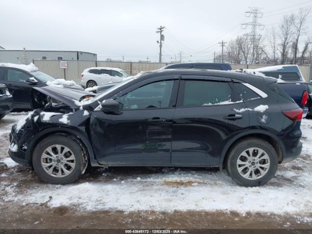 Ford Escape Active Image 16