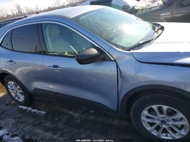 Ford Escape Se Image 3