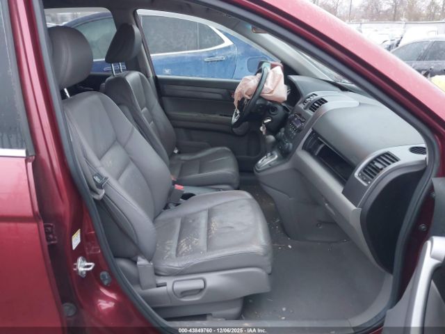 Honda CR-V Ex-l Image 15