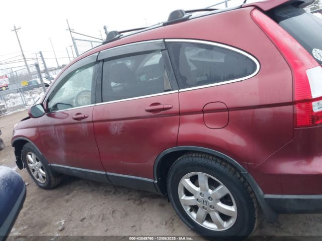 Honda CR-V Ex-l Image 6