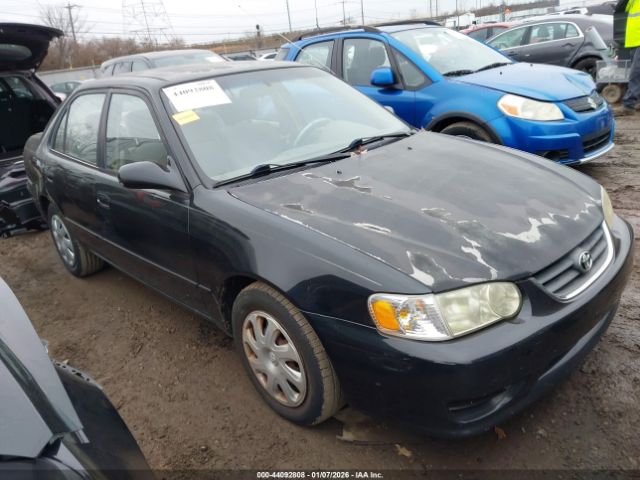 Toyota Corolla Le Image 1