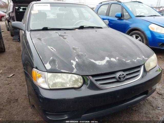 Toyota Corolla Le Image 10