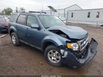  Salvage Ford Escape