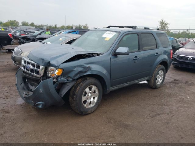Ford Escape Limited Image 9