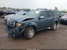 Ford Escape Limited Image 9