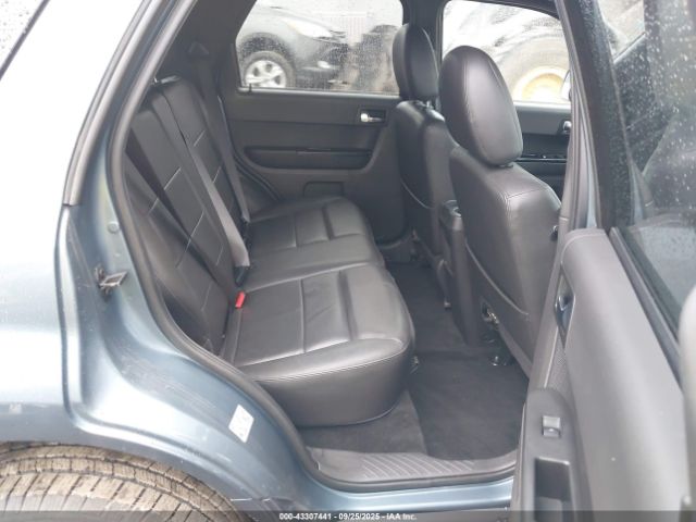 Ford Escape Limited Image 8