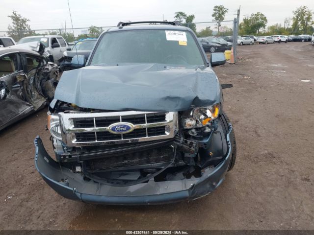 Ford Escape Limited Image 5