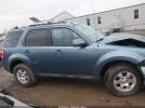 Ford Escape Limited Image 10