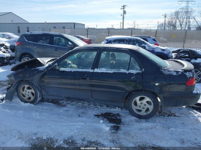 Toyota Corolla Le Image 14