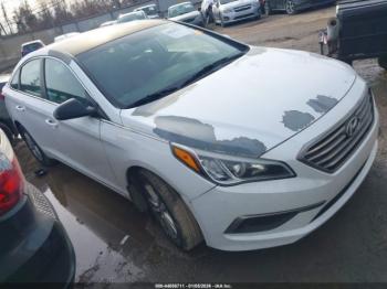  Salvage Hyundai SONATA